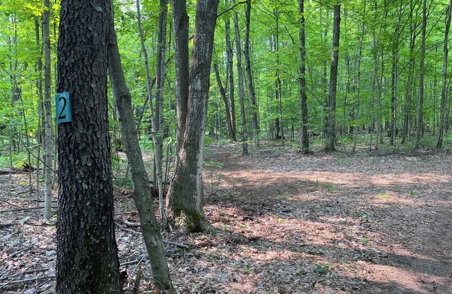 Private Wooded Campsite for Tents or Small RV's #3