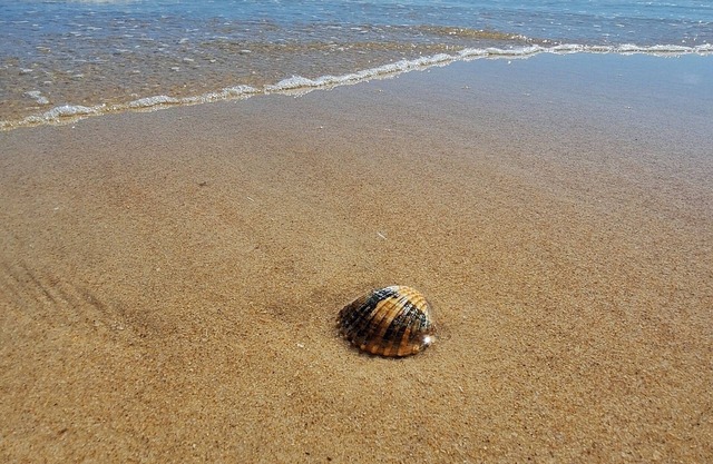 Situation privilégiée à proximité des plages de l'Algarve.