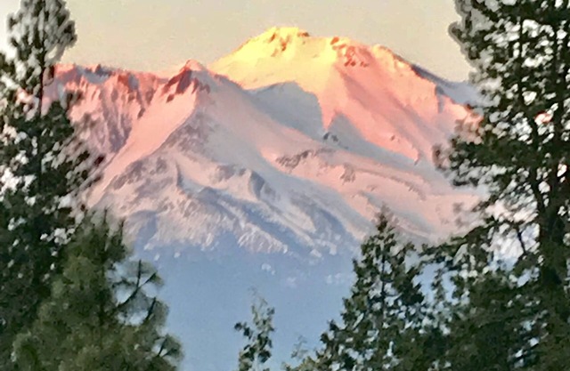 Mt Shasta Cabine / Studio