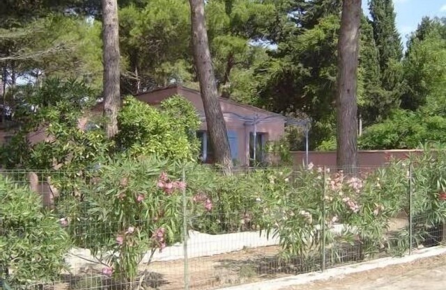PROMO ! La franqui maisonnette sous les pins dans village de charme