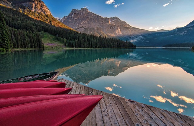 Provide more sustainable and Eco-friendly travel!
