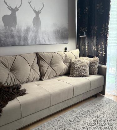 Przytulny Apartament