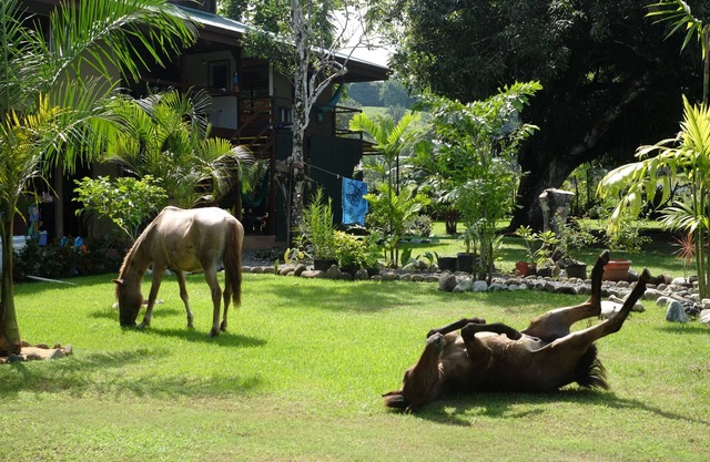 BEACH RANCH SUPERCLOSE DE LA PLAGE