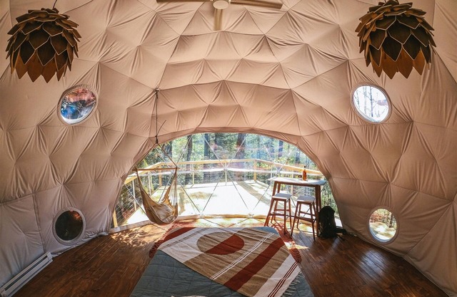 .Puma Dome Treehouse | 1 Bed, 1 Bath