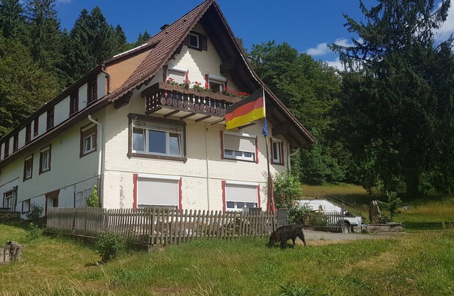 Sentiment pur de la Forêt-Noire dans un seul appartement