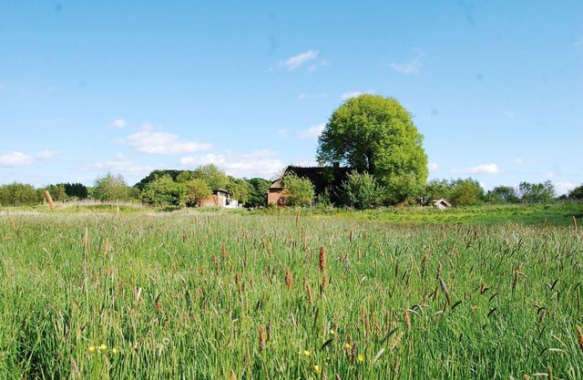 Idylle pure dans un endroit isolé sous le chaume à la lisière de la forêt