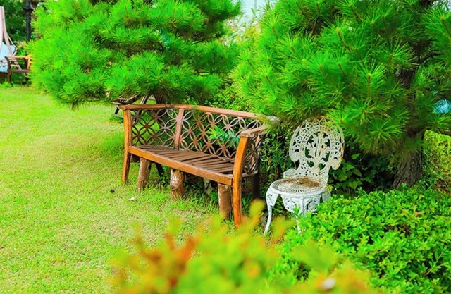 Pyeongchang Beautiful Pension