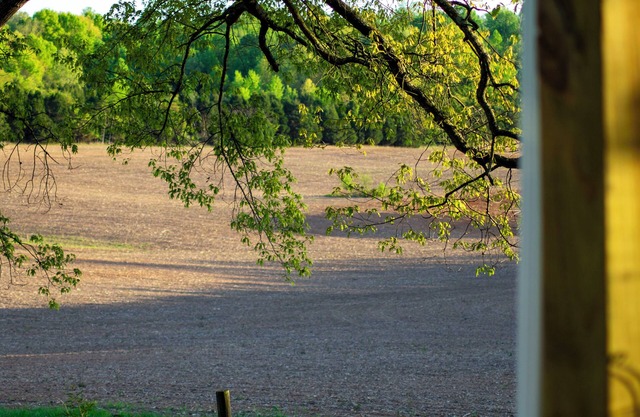 Quaint 2-bedroom home on an one acre lot in lovely Alvaton with AC and WiFi.