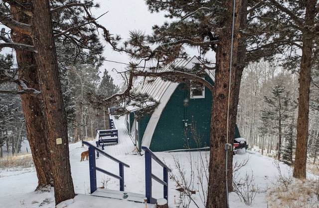 Quaint woodland cabin