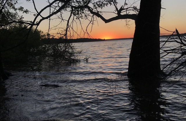 Carey Bay Cottages-One Bdrm Luxury Cabin/King Bed/Kayaks/Full Kitchen(Cottage C)
