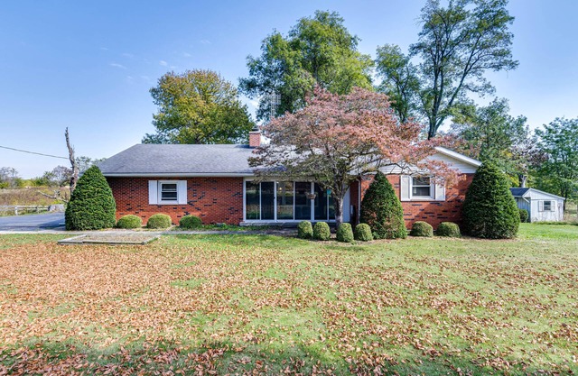 Quaint Economy Retreat w/ Patio & Spacious Yard!