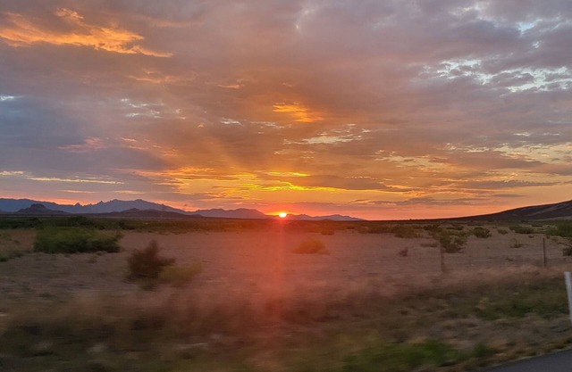 Quaint home in southern Arizona wine country. Pet Friendly!