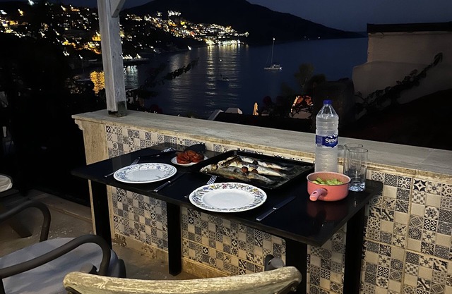 Romantique, pittoresque, Cottage en pierre, volets, vue sur la mer depuis le solarium, central mais calme