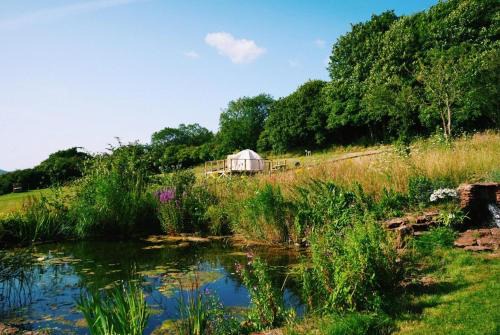 Quantock View Glamping Tent