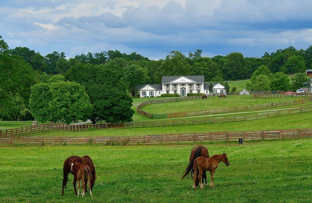 Manoir Queenslake et ferme équestre