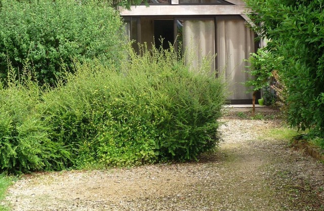 Gîte tranquille avec grand jardin de 1400 m2 dans village de St Antonin et WIFI