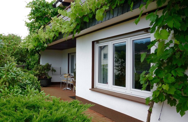 Calme charmant appartement donnant sur les vignes!