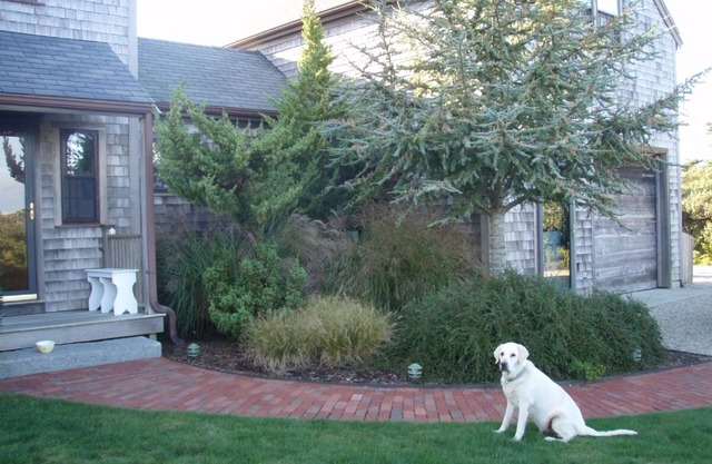 Calme, confortable maison de plage Nantucket - Madduequecham Beach
