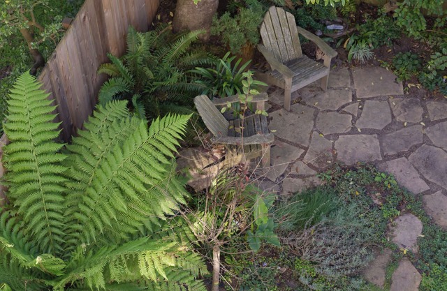 Quiet Garden Studio environs de Golden Gate Park
