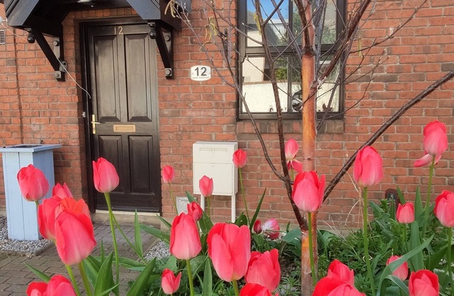 Liberty Townhouse Dublin Centre Ville