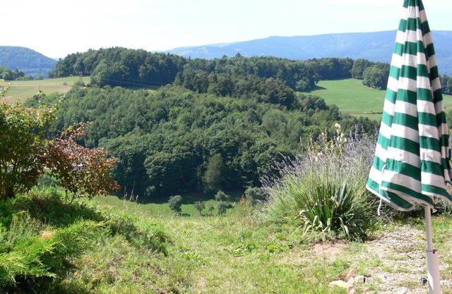 Gîte au calme dans le parc naturel régional des Ballons des Vosges