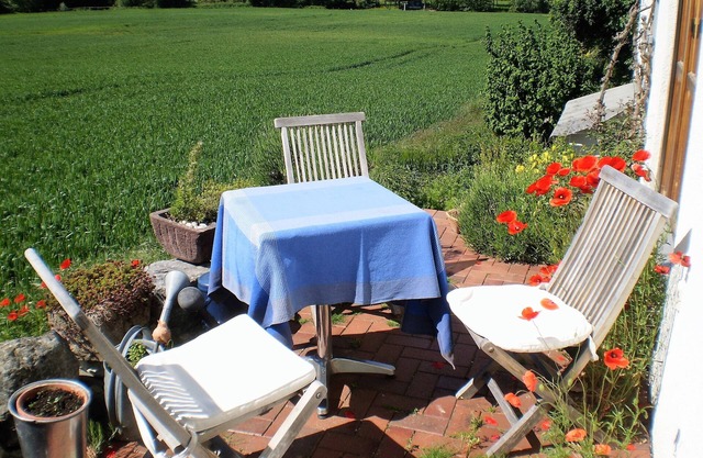 oasis de calme du lac de Constance à la campagne avec des soins de chat