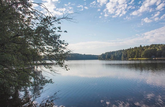 NOUVEAU - Cabine calme au bord du lac