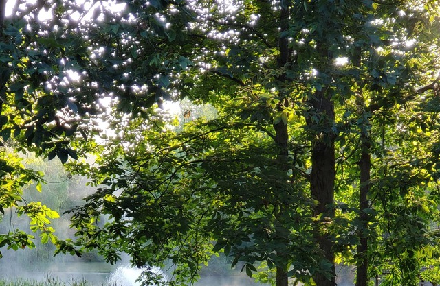 Retraite calme et spacieuse dans les lacs Finger