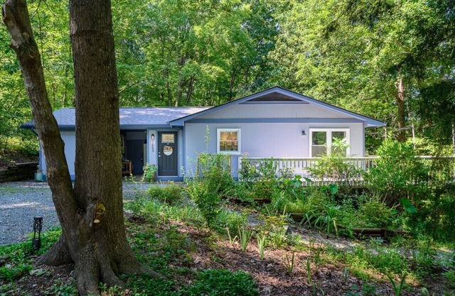 Quiet Wooded Oasis 6 minutes from UNC