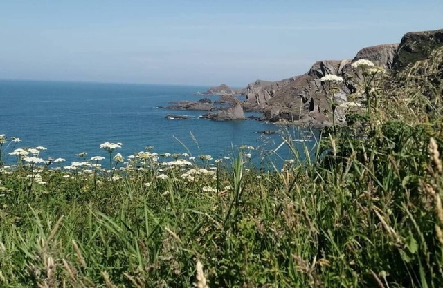 Guest wing @ Quincecote,Hartland.Small and tasteful one bed rural accommodation.