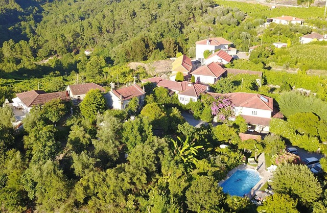 QUINTA DE RIBAS - LES OLIVIERS - GITE AU CALME ENTOURÉ DE VERDURE