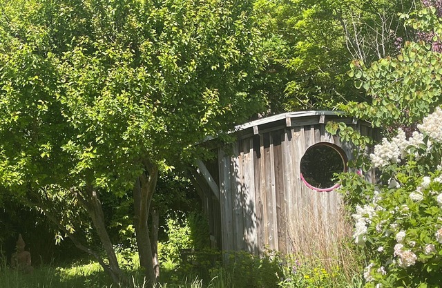Quirky Self-contained Garden Hut in National Park. Plant-based Meals Service.