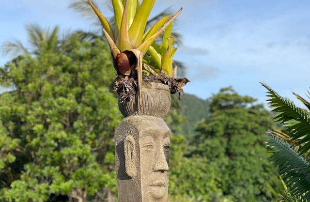 Rainforest King Rooms | Shared Kitchen + Lounge | Sleeps 2–8