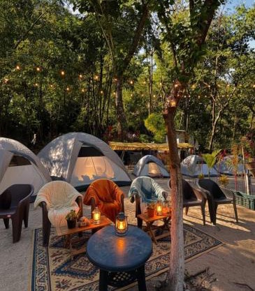 Rapsyngkremcampsite
