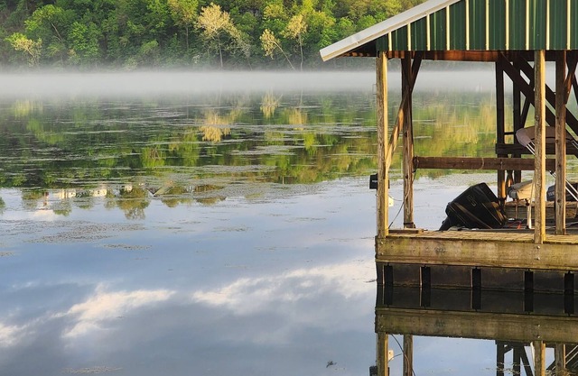 Real Log Cabin On Lake Taneycomo w/ Boat Slip
