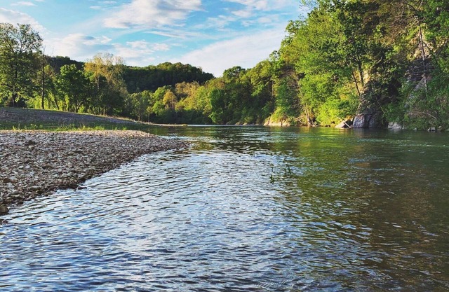 Reality Ranch sur la branche sud de Sylamore Creek