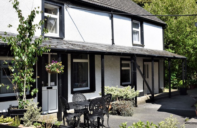 Milan rouge, BLAENWAUN