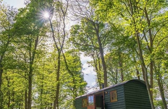 Red Kite Retreat - Bluebell - Shepherds Hut 1