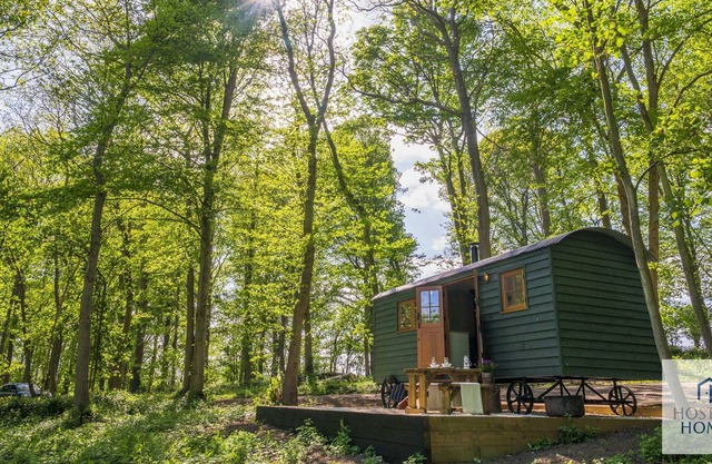 Red Kite Retreat - Four Stunning Woodland Cabins