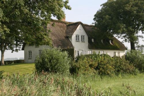 Reetdachhaus Poppenbuell