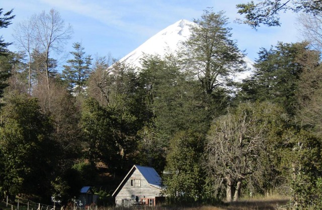 Refugio Montaña Kultrun Mawida, Mini-Cabaña con baño y cocina privada