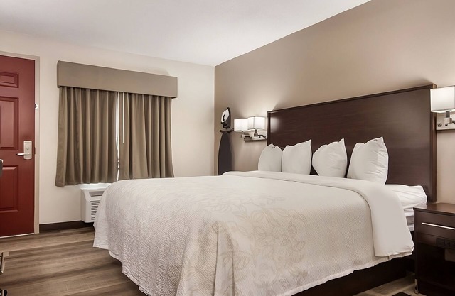 Relax and Unwind! Pet-Friendly Accommodation with FREE Parking!