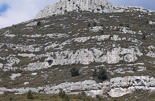 Dans la guarrigue de Provence ...