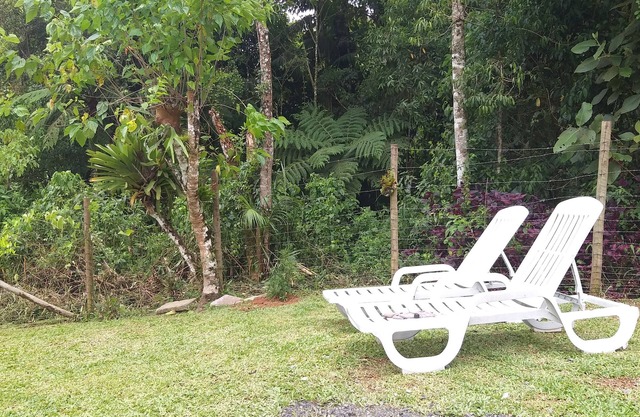 Rest in the green of the Atlantic Forest.