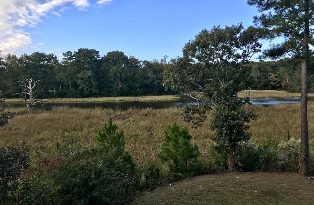 Détendez-vous sur la rivière juste au sud de Salisbury