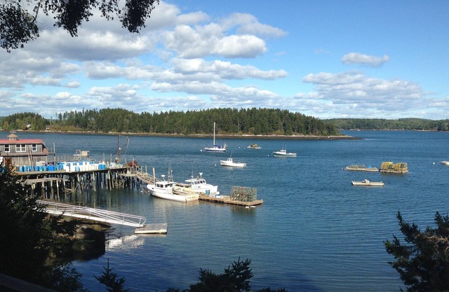 Oceanfront Panorama, Backyard Cove à explorer