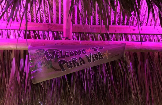 Offre spéciale! Réunion de famille sous une cabane Tiki. La résidence Tiki Hideaway!