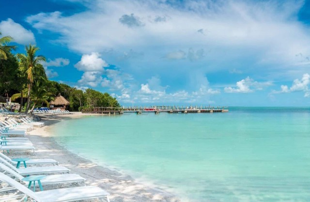 Relax & Unwind! 4 Comfortable Units, Beachside Bars, 2 Outdoor Pools!