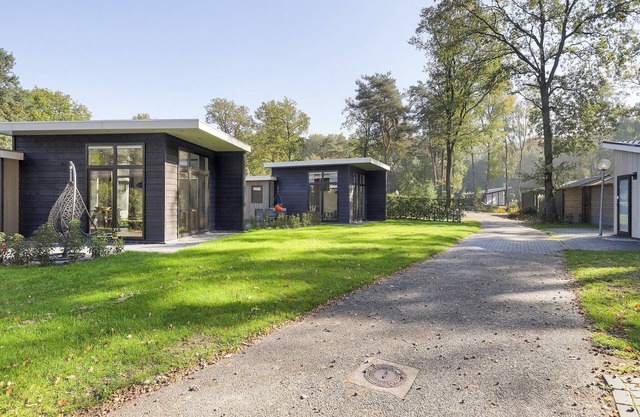 Refuge relaxant en forêt