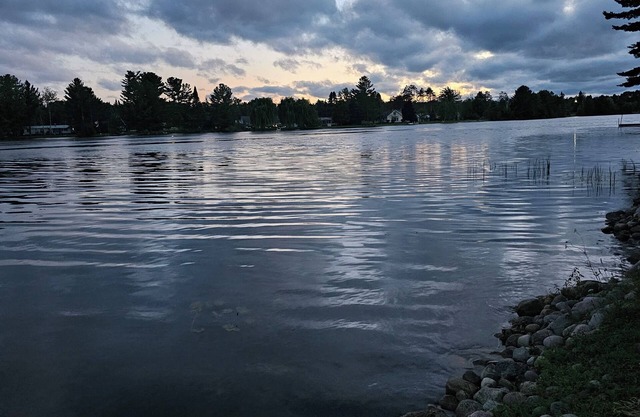 Relaxing, secluded, dog friendly getaway with kayaks and paddle boat